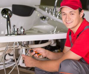 About The Faucet Pros Alleman, IA